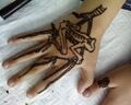 Henna-SP A1357.jpg