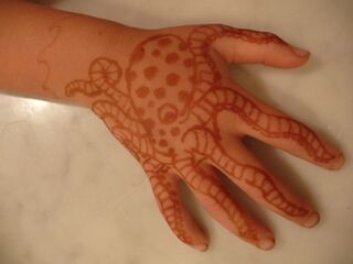 Henna-octopus-post.jpg