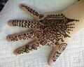 Henna-SP A1368.jpg