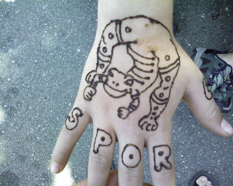 File:Henna-SP A1361.jpg